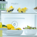 Холодильник Whirlpool WQ9 B2L Холодильники  - 6